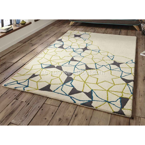 Modern Design Hand Tufted Carpet